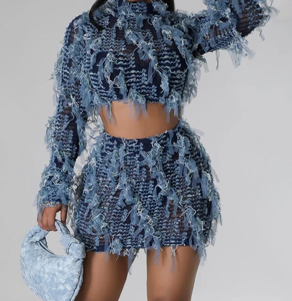 Women Full Sleeve Faux Fur Mesh Two Piece Skirt Set