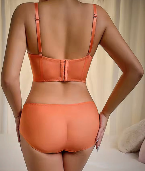 Women Sexy Orange Lace Mesh Lingerie Set