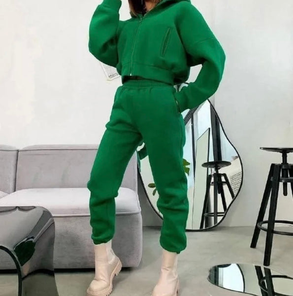 Women Fashion Color Hooded Zip Up Two Piece Tracksuit Pant Set