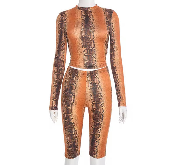 Women Fashion Color Animal Print Full Sleeve Two Piece Capri Pant Set