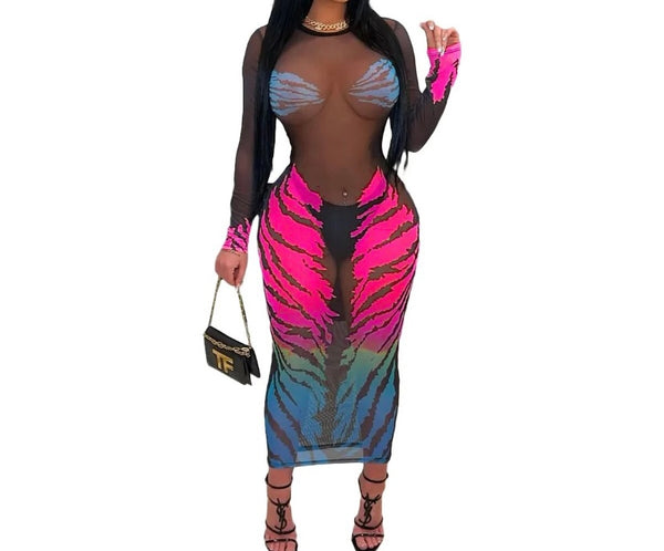 Women Sexy Colorful Print Black Mesh Full Sleeve Dress