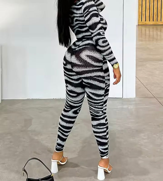 Women Sexy B&W Zebra Print Mesh Two Piece Pant Set