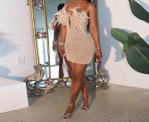 Women Feather Beaded Bling Mesh Strapless Dress