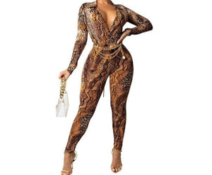 Women Sexy Two Piece Animal Print Fashion Pant Set