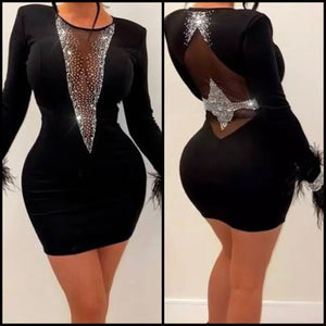 Women Sexy Mesh Bling Patchwork Full Feather Sleeve Dress