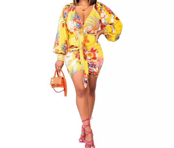 Women Floral Full Sleeve Tie Up Dress