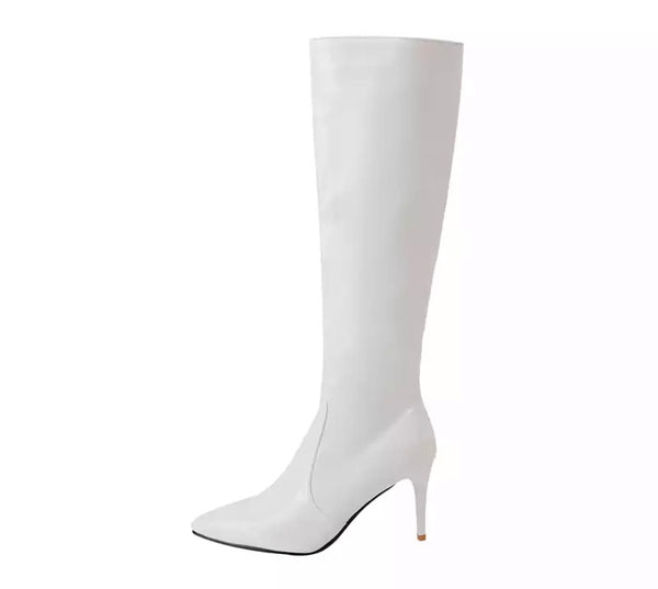 Women Pointed Toe Knee-High Boots