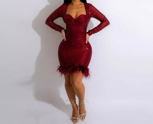 Women Sequins Sexy Feather Full Sleeve Dress