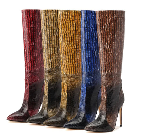 Women Pointed Toe Fashion Gradient Knee High Boots