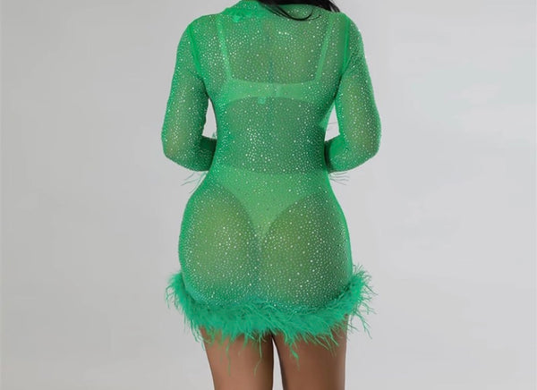 Women Sexy Bling Feather Full Sleeve Mesh Dress