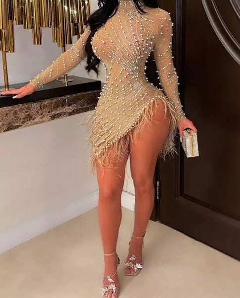 Women Sexy Beaded Mesh Feather Full Sleeve Dress