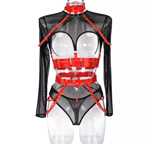 Women Sexy Cut Out Mesh Full Sleeve Lingerie Set