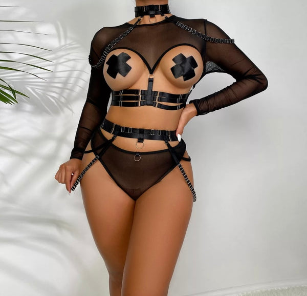 Women Sexy Cut Out Mesh Full Sleeve Lingerie Set