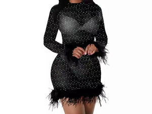 Women Sexy Bling Feather Full Sleeve Mesh Dress